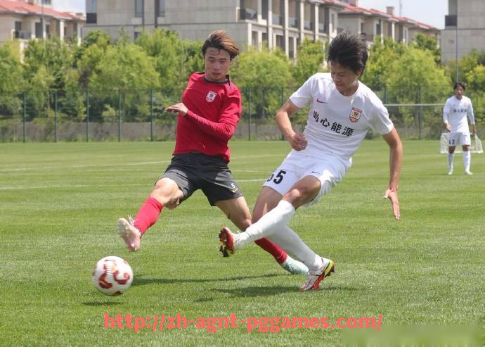 pg电子在线下载-《德甲球队划分标准与赛程安排的官方规则说明》