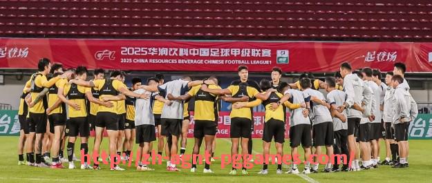 pg电子在线下载-AC米兰赛季赛程与球队阵容完整分析