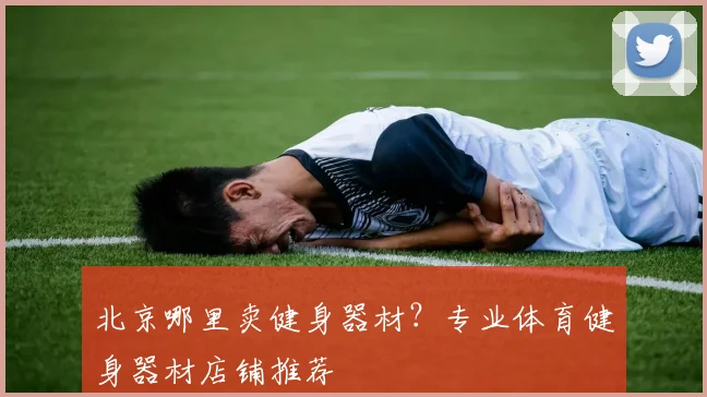 北京哪里卖健身器材？专业体育健身器材店铺推荐